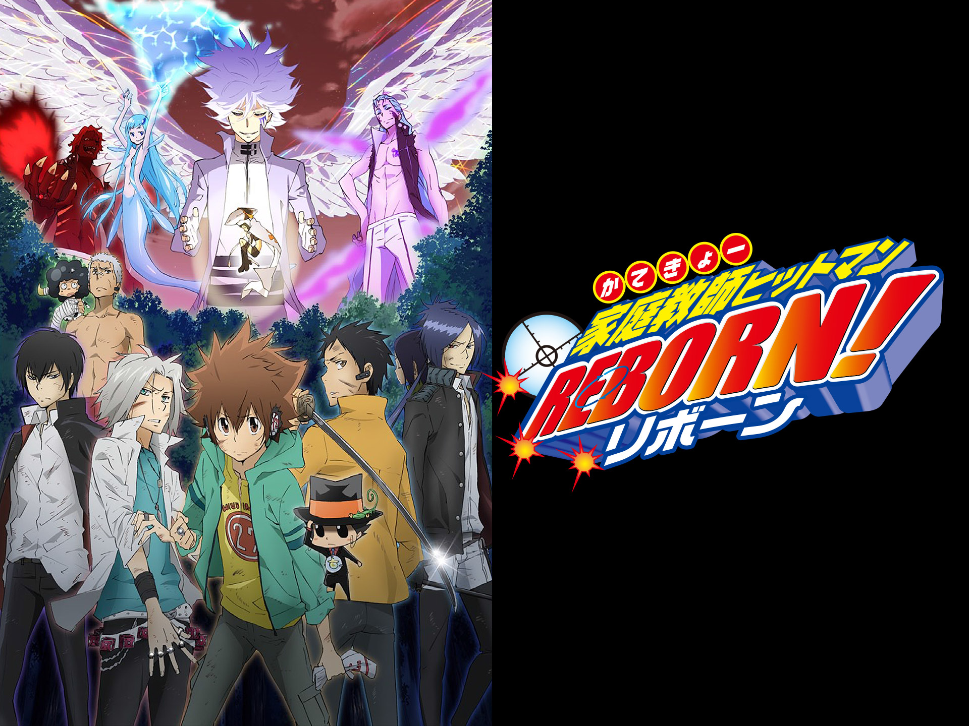 家庭教師ヒットマンREBORN! 未来決戦編