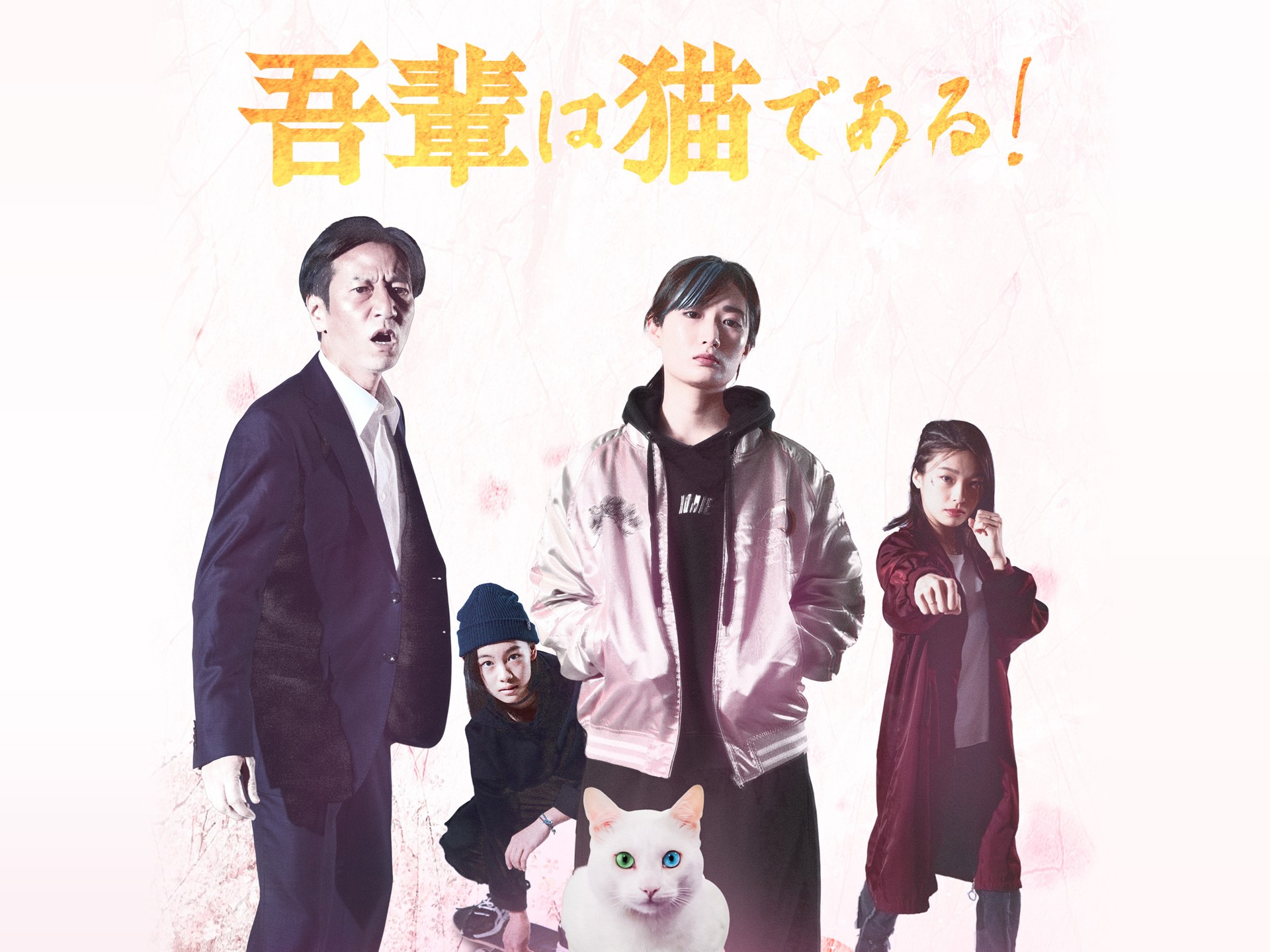 吾輩は猫である!