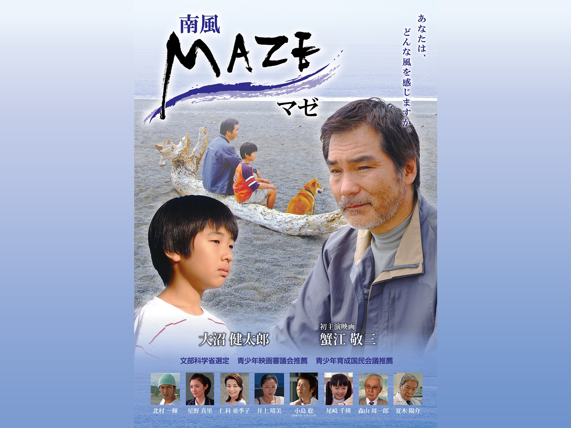MAZE マゼ~南風~