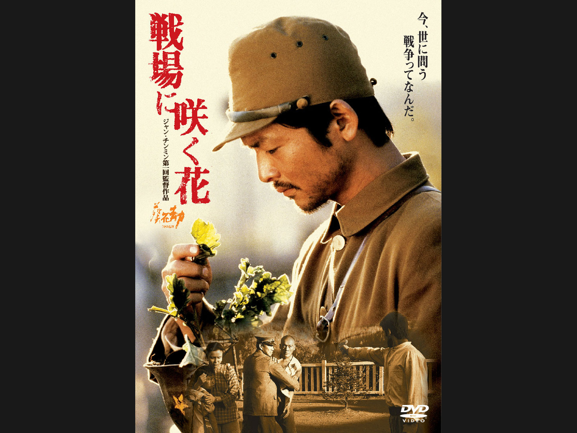 戦場に咲く花