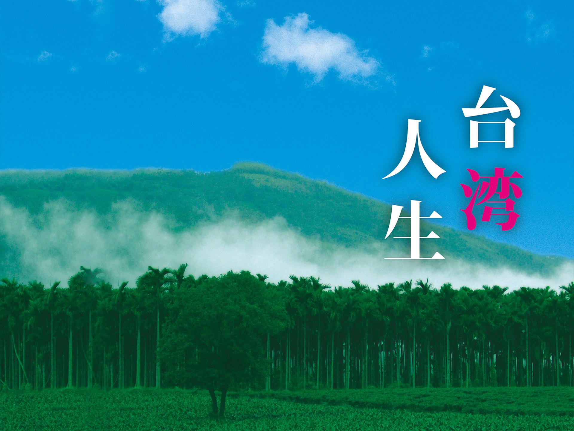 台湾人生